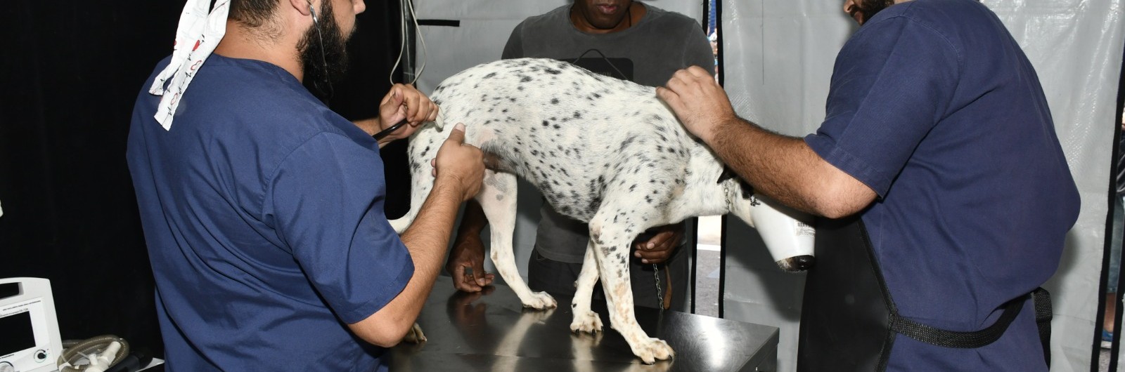 60475072-775f-4567-bd20-fdf51a9413a6