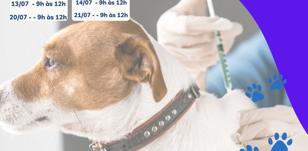 ab12c792-73f1-43e3-8f01-93285b114ee0