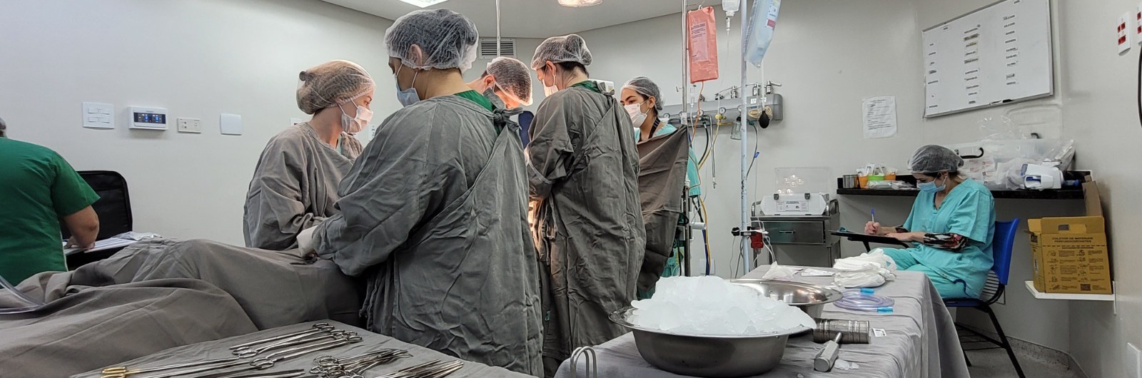 04b02909-1073-47c3-bc93-ff60b24bcd58