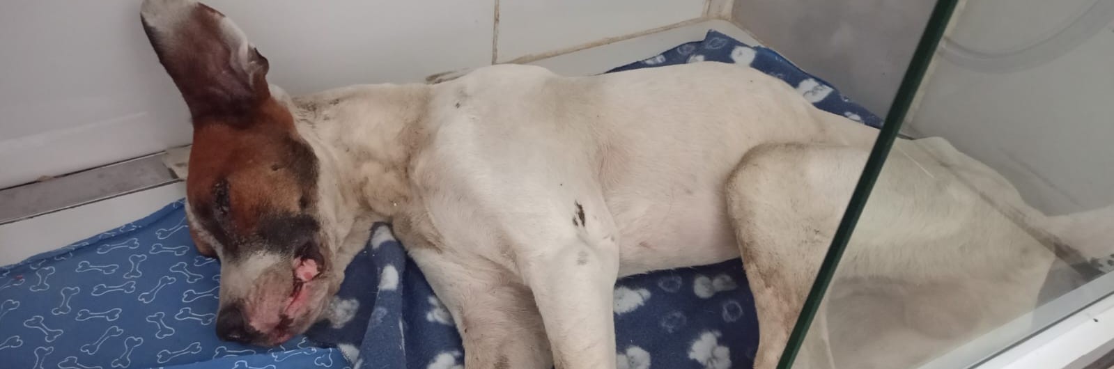 4f685b38-619a-456e-b35c-b385c945bab1