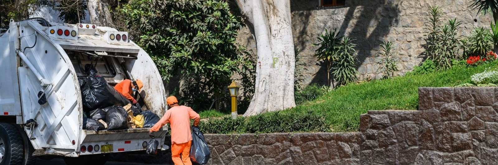 73a9e494-e4d1-4cb3-80af-6f51c3645a88 (1)