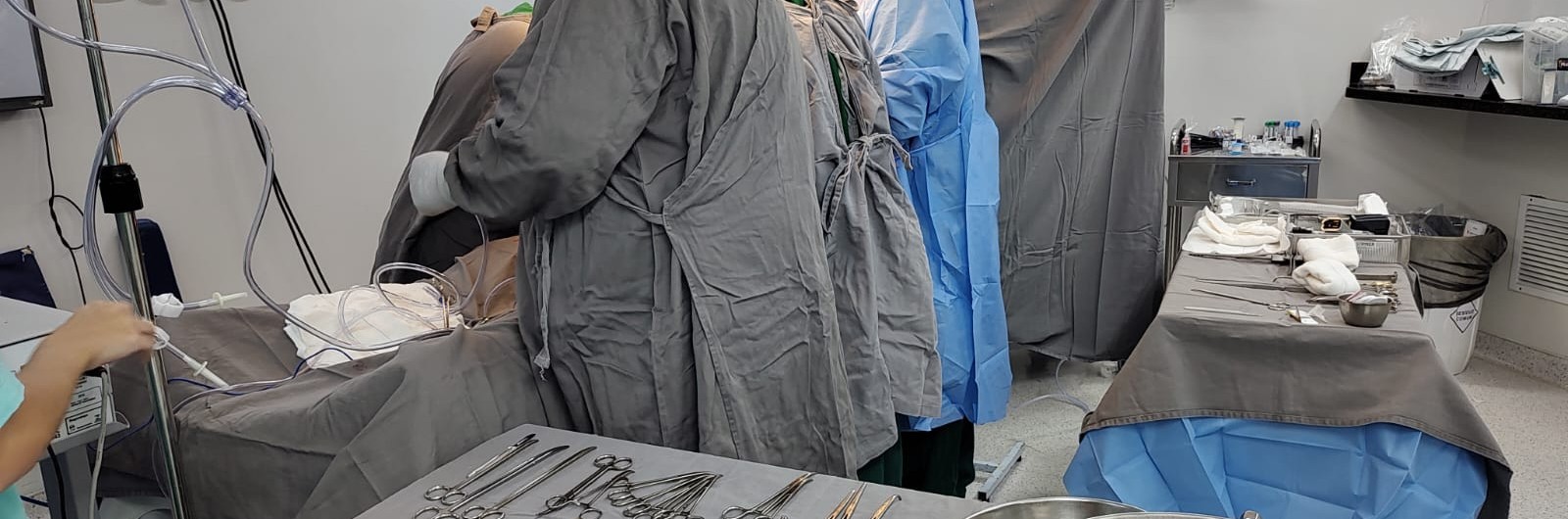 91c0a867-dcb1-4865-9c82-ee6c2b456e6a