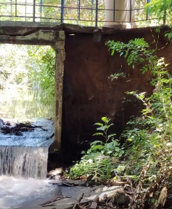ponte benedita stal sodre 2
