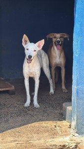 46cc28a2-8e4c-4ce4-a7cd-e7398a5d3cc4