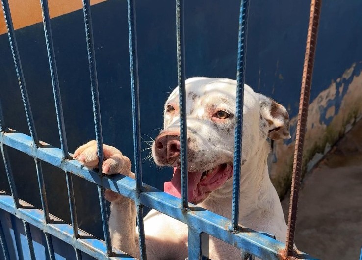 c7d238c9-a167-443a-99c0-38b074ce2256