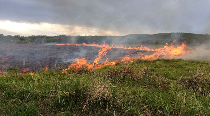 fogo