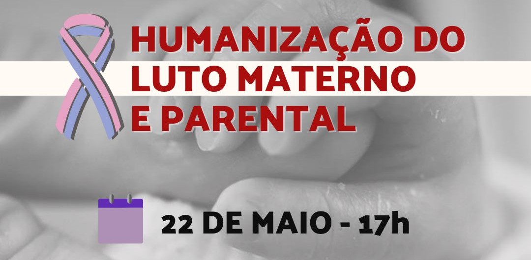 Audiência Pública Luto Materno Parental
