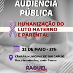 Audiência Pública Luto Materno Parental