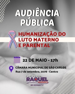 Audiência Pública Luto Materno Parental