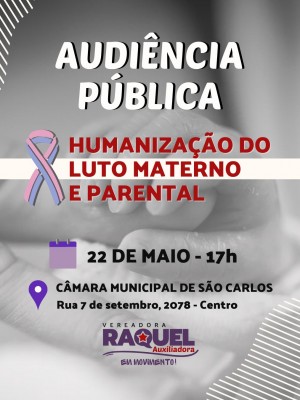 Audiência Pública Luto Materno Parental