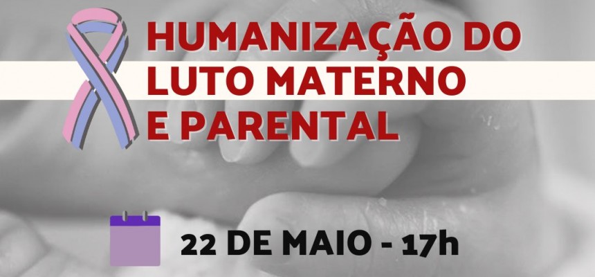Audiência Pública Luto Materno Parental