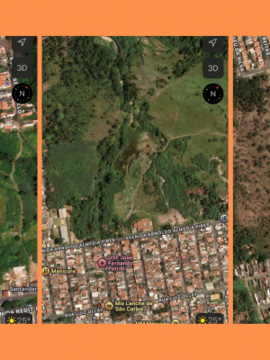 Galeria de 3 Imagens (1)