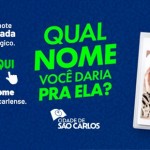 VotacaoOnca