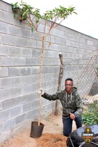 530818389_1622917909142534_1578552765200370563_n