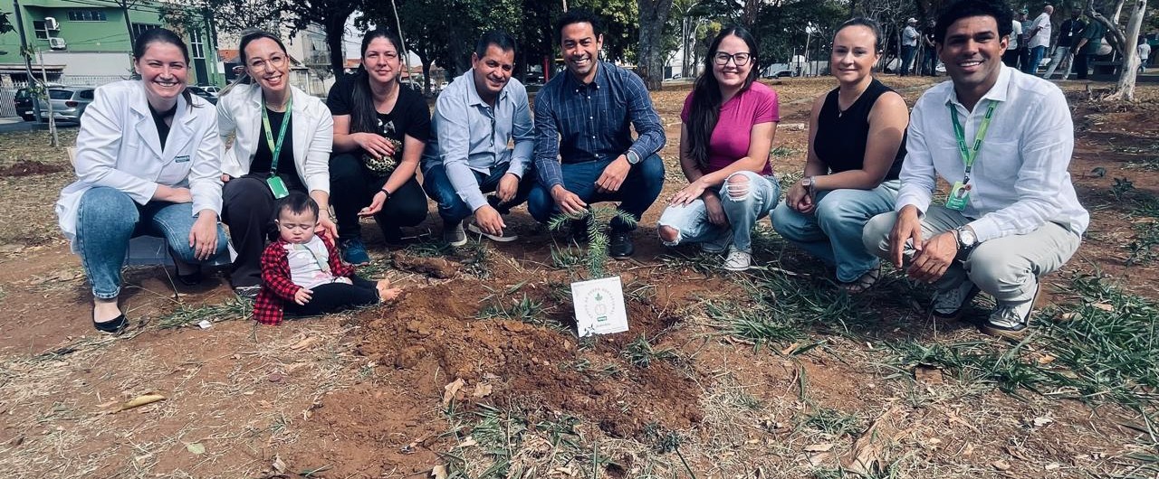 PLANTIO 1 - 25_08_25