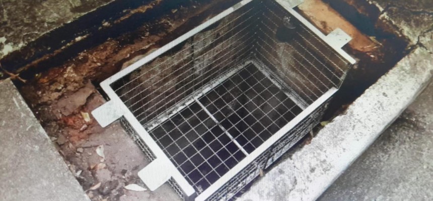 WhatsApp Image 2025-11-03 at 09.01.09