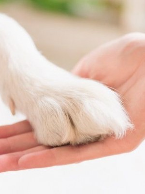 443102358c6accd357723278e83f2a05