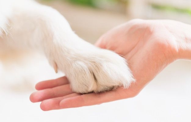 443102358c6accd357723278e83f2a05