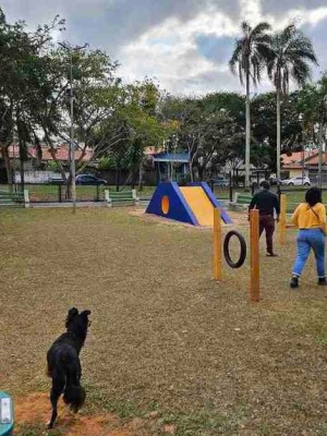 5268aa84-21aa-4ef8-8aca-069d90bd3654 (1)