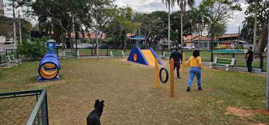 5268aa84-21aa-4ef8-8aca-069d90bd3654 (1)